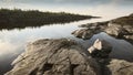 Early morning on a rocky shore. Still water. Pine forest in the background