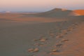 Early morning in Sahara desert in Egypt Royalty Free Stock Photo