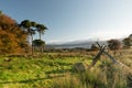 Early morning scene overlooking Blessington lakes Wicklow Ireland