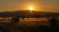 Early morning scenery in field and mountains. Sun casting beautiful rays of light through the mist and trees Royalty Free Stock Photo