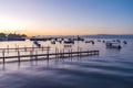 early morning scenic of lake in chapala mexico