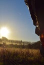 Early morning seen through a spider's web