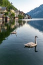 Hallstatt, Austria Royalty Free Stock Photo