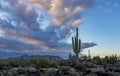 Early Morning Sonoran Desert Landscape In Scottsdale AZ Royalty Free Stock Photo