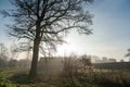 Early morning spring in Belgium Royalty Free Stock Photo