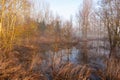 Early morning spring in Belgium Royalty Free Stock Photo