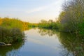 Early morning spring sunlight reflected from trees and bushes lining a lake Royalty Free Stock Photo