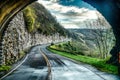 Early morning spring tunnel near craggy gardens north carolina Royalty Free Stock Photo