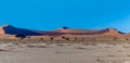 The early morning sun highlights the east faces of dunes in Sossusvlei, Namibia Royalty Free Stock Photo