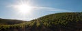 Early morning sun shining on Paso Robles vineyards in the Central Valley of California USA