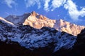 Early morning sun touches Kanchenjunga Summit as seen from Dzongri Top.