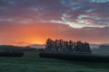 Early morning with sunlight and colorful sky, meadow and trees. Nature photo. Beautiful autumn landscape in New Zealand. Royalty Free Stock Photo