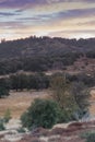 Early morning sunlight on hills in autumn, grove of live oaks foreground, cool color beautiful sunrise sky of lavender, yellow and