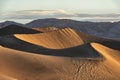 Early morning sunlight on the Mesquite Flat Sand Dunes Royalty Free Stock Photo