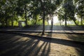 Early morning sunlight shining, golden rays through misty garden trees Royalty Free Stock Photo