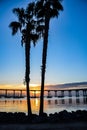 Two Palms and the San Diego Bay Bridge Frame the Rising Sun Royalty Free Stock Photo