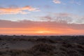 early morning sunrise on the dunes with nice view Royalty Free Stock Photo