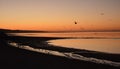 Early morning sunrise in El Golfo de Santa Clara Mexico