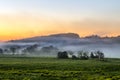 Early morning sunrise landscape with bushes in fog near river at summer Royalty Free Stock Photo