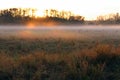 Early Morning Sunrise over a Farm Field with Heavy Fog on the Horizon. Royalty Free Stock Photo