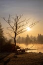Early Morning Sunrise on the Snohomish River in Washington State Royalty Free Stock Photo
