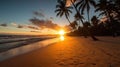 Early Morning Sunrise with Towering Palm Trees Silhouetted Against the Horizon. Royalty Free Stock Photo