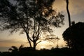 Early Morning Sunrise on Waimanalo Beach over ocean Royalty Free Stock Photo