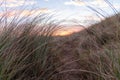 early morning sunrise on the dunes with nice view Royalty Free Stock Photo