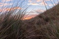 early morning sunrise on the dunes with nice view Royalty Free Stock Photo