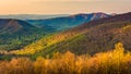 Early morning view of the Appalachian Mountains from Skyline Drive in Shenandoah National Park, Virginia. Royalty Free Stock Photo