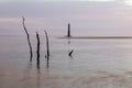 Morning at Morris Island Lighthouse SC Royalty Free Stock Photo