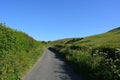 Country lane with cow parsley in late spring, Dorset, England Royalty Free Stock Photo