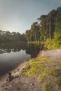 Early morning view of lake with trees around it. sand in foreground and reflections in the water