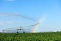 An agricultural sprinkler system, in an Idaho potato field. Royalty Free Stock Photo