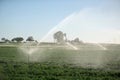 Rainbird style sprinklers on an agricultural hand line.