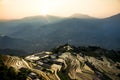 Early morning on watered rice terraces Royalty Free Stock Photo