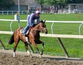 2019 Workouts from Saratoga