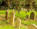 Early 1800s cemetery overgrown with grass and stinging nettles. Suffolk, UK - July 22nd 2020