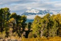 Early fall signs at Blacktail Ponds in front of the mountains in Grand Teton National Park.