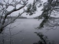 Early snow on Karelian Isthmus