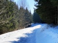 The early spring atmosphere and the last remnants of winter in the Alptal alpine valley, Einsiedeln - Canton of Schwyz Royalty Free Stock Photo