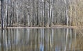 In early spring, the bare trees of the forest park are reflected in the water Royalty Free Stock Photo