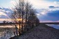 Early spring at Biebrza, causeway between swamps, sunset