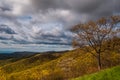 Early spring colors in the Blue Ridge Mountains, seen in Shenandoah National Park, Virginia. Royalty Free Stock Photo