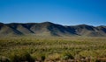 Early spring in desert 2 Royalty Free Stock Photo