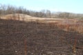 Early Spring Field After a Controlled Burn
