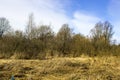 Early spring in the fieldin Russia