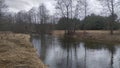 In early spring, during floods, the water in a small river is high and muddy, and the current is strong. Dry grass and trees stand Royalty Free Stock Photo