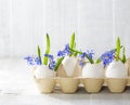 Early spring flowers Scilla siberica in eggshells on old wooden white table. Easter decor