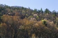 Early Spring Foliage, Wears Valley, TN Royalty Free Stock Photo